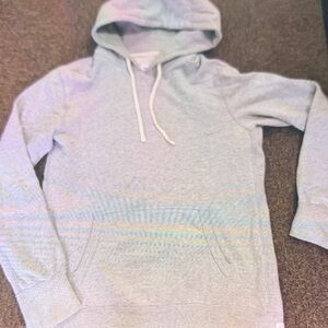 Reigning Champ Light Gray Hoodie